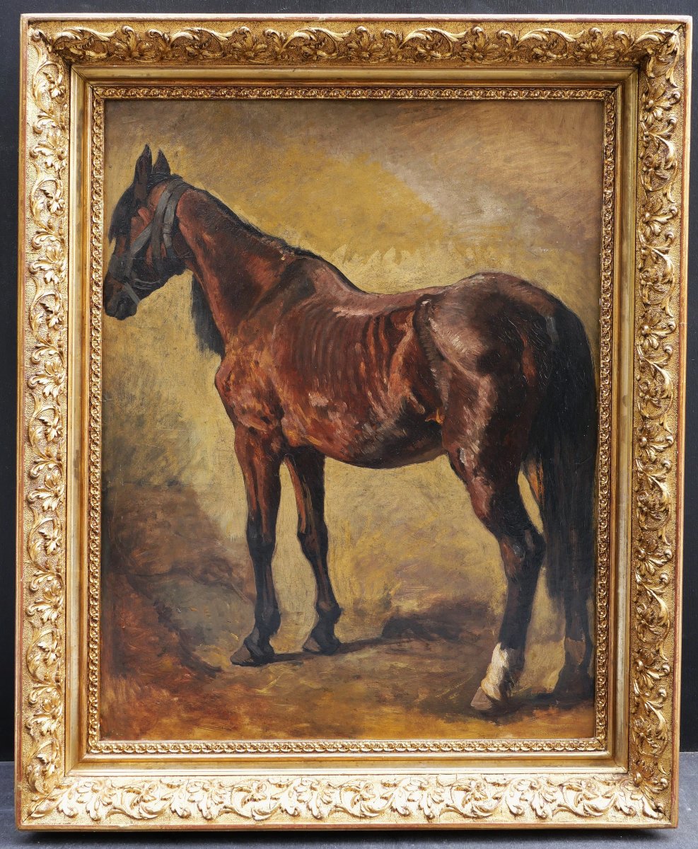 Heinrich Ludwig Christian Dietrich Winter, Three-quarter Back View Of A Brown Horse, German Painting-photo-1