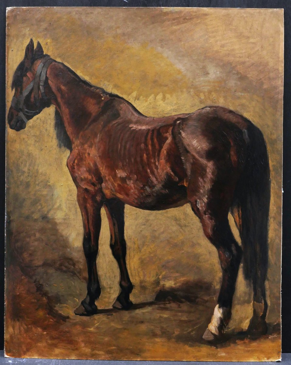 Heinrich Ludwig Christian Dietrich Winter, Three-quarter Back View Of A Brown Horse, German Painting-photo-2