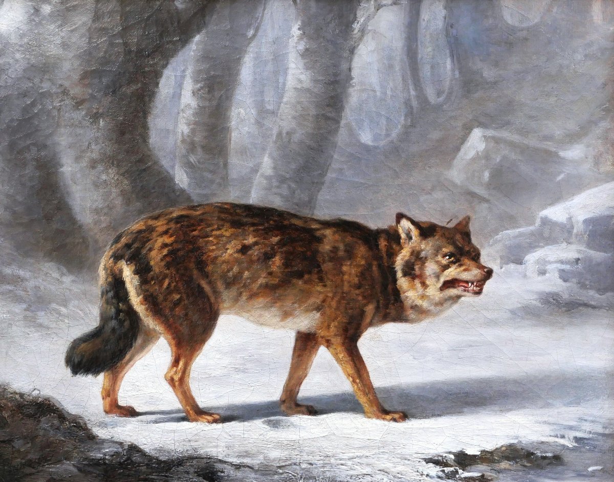 Louis Léon Nicolas Verreaux, Wolf In The Forest In Winter, Wildlife Painting