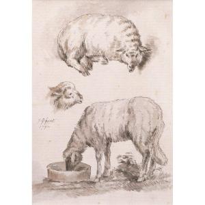 Jean-baptiste Hüet, Three Studies Of Sheeps