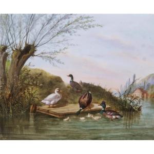 French Or German School Of The 19th Century, After Carl Jutz, Ducks And Ducklings