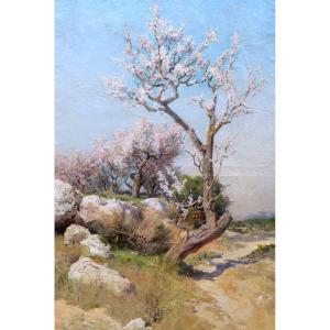 Théophile Henri Décanis, Almond Trees In Bloom, Provence (very Large Format)