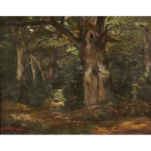 French School Late 19th Century, Undergrowth