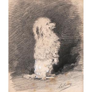 Maxime LALANNE, Caniche faisant le beau, dessin de chien