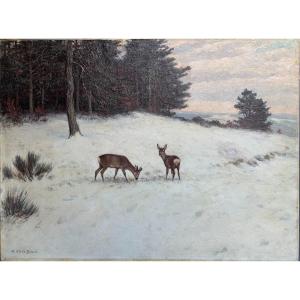 Deer In The Snow