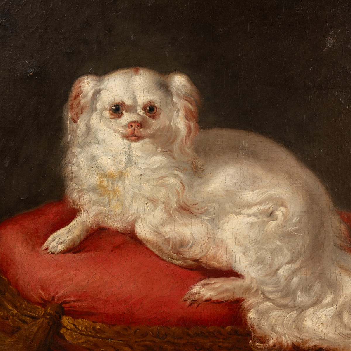 Small Dog Painting French School Circa 1760-photo-2