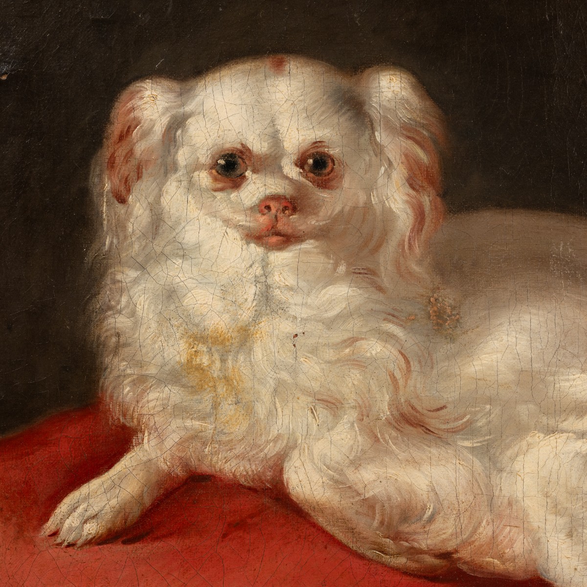 Small Dog Painting French School Circa 1760-photo-3