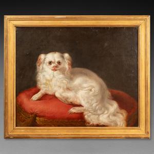 Small Dog Painting French School Circa 1760