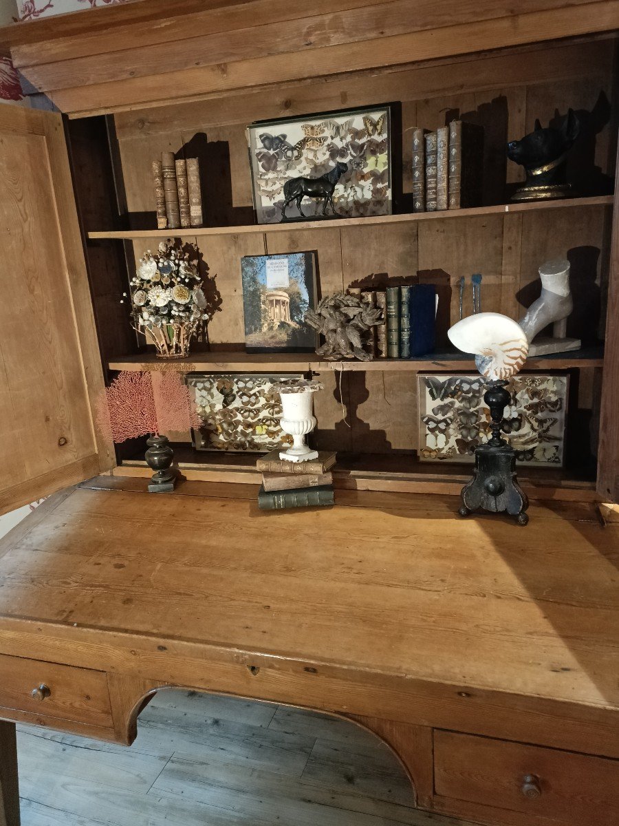 Grand Cabinet Campagnard Directoire -photo-3