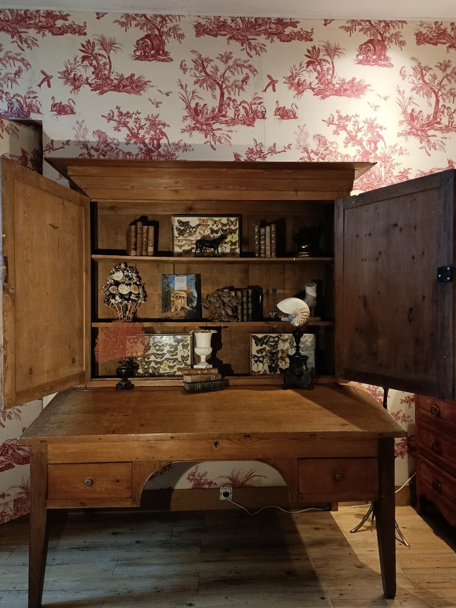 Grand Cabinet Campagnard Directoire 