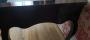 1194256-650706b1a62bd.jpg
