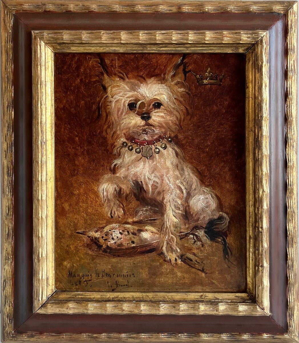 "the Aristocratic Dog" Bunel