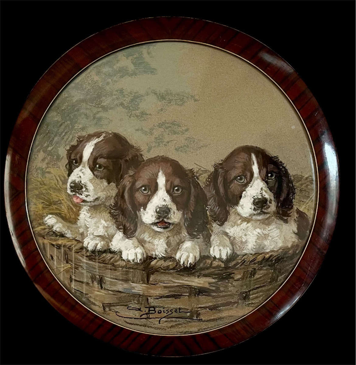"the Three Puppies" Aline Boisset