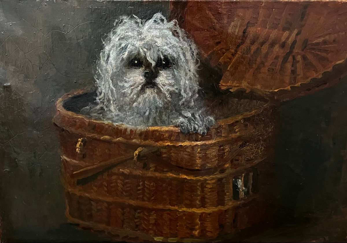 "Portrait de bichon" Ecole française 19ème-photo-2