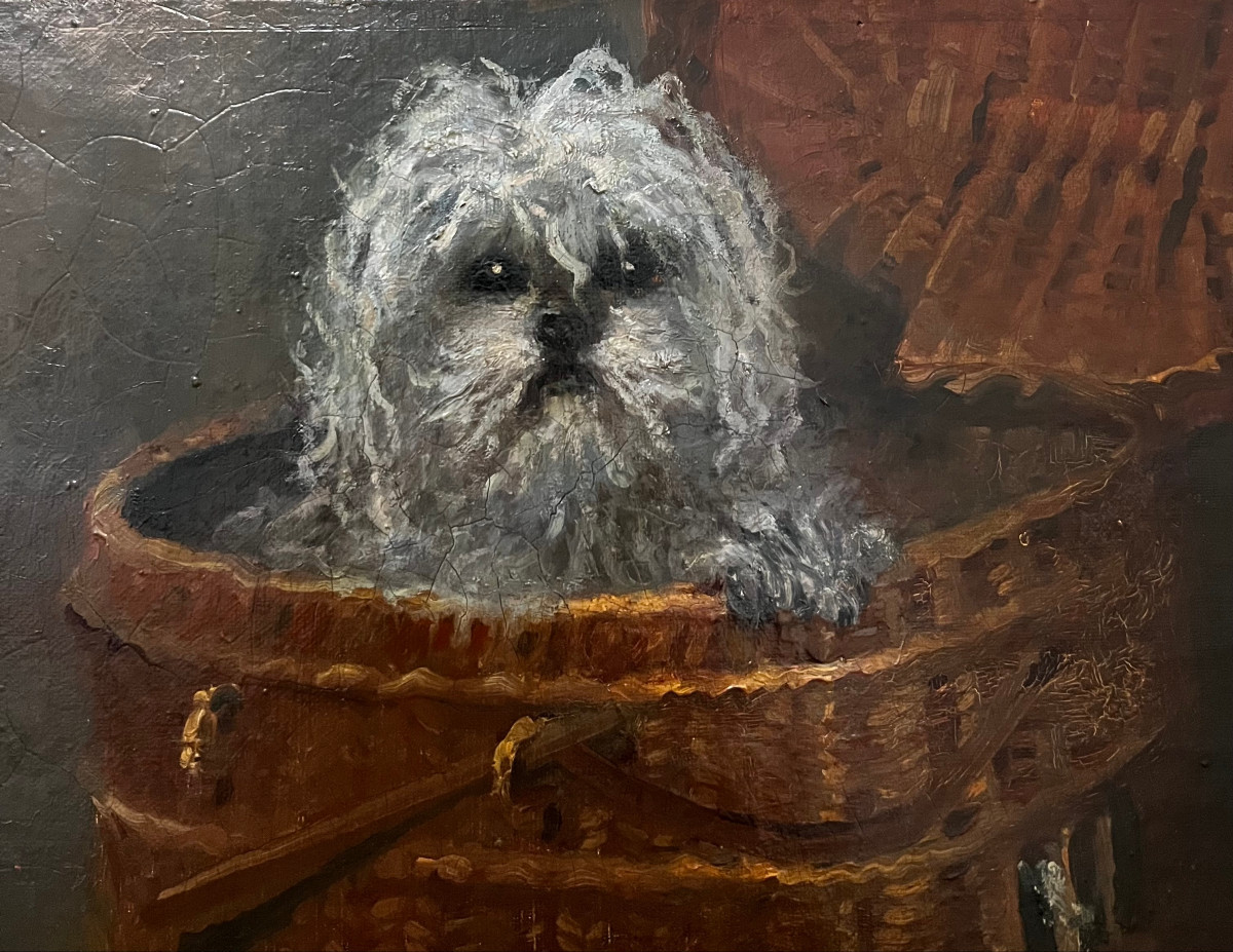 "Portrait de bichon" Ecole française 19ème-photo-3