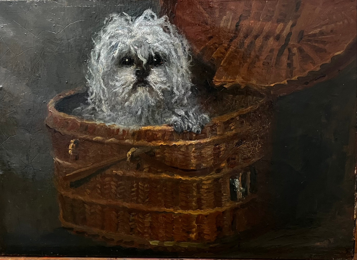 "Portrait de bichon" Ecole française 19ème