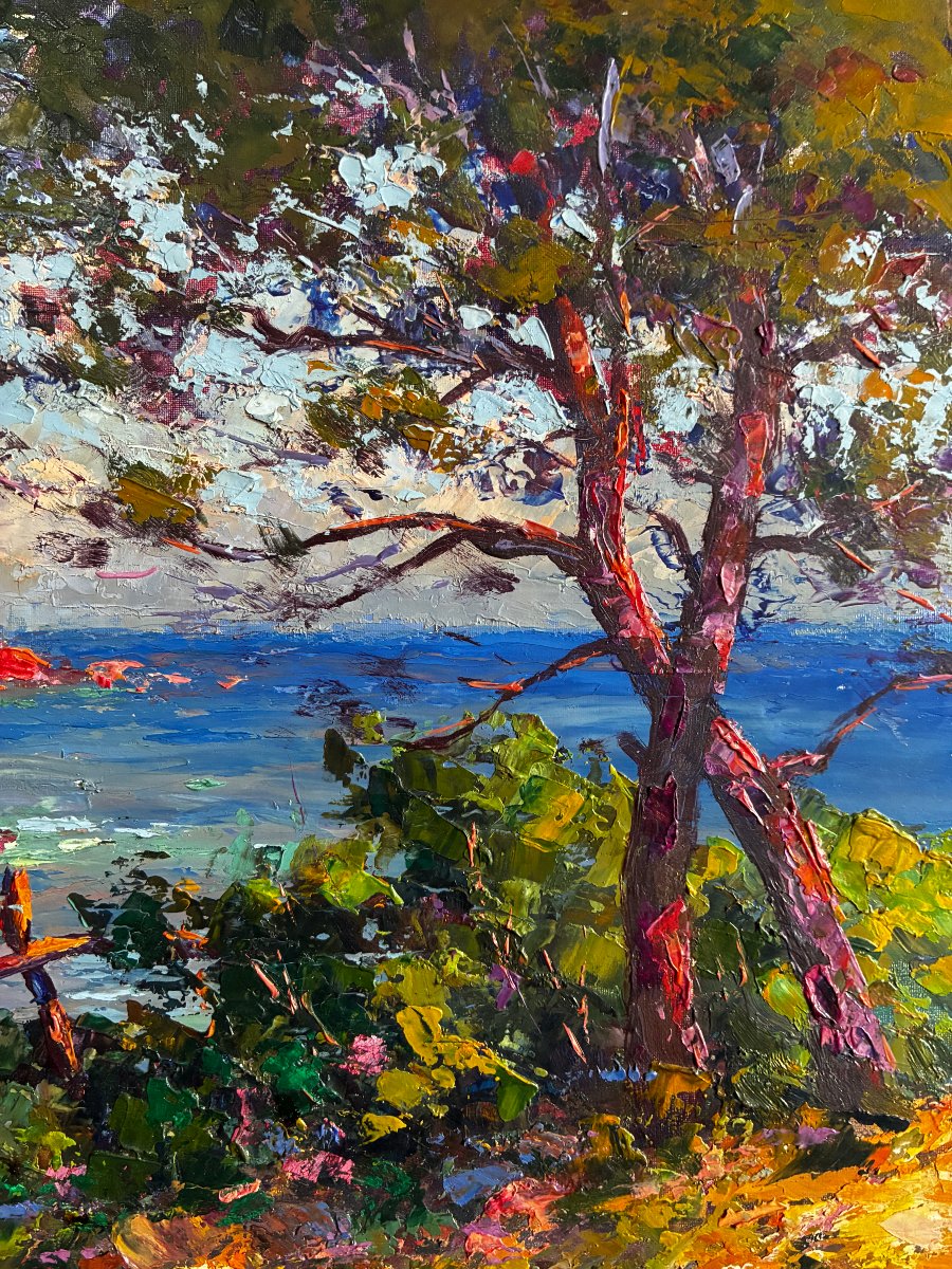 "esterel, The Red Rocks" By Paul Pierre Emiot-photo-1