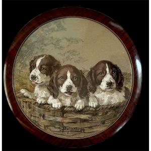 "Les trois chiots" Aline Boisset