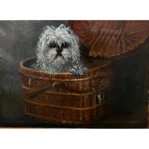 "Portrait de bichon" Ecole française 19ème