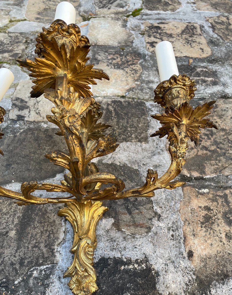 Pair Of Louis XV Sconces, Rocaille Style, In Gilded Bronze-photo-3