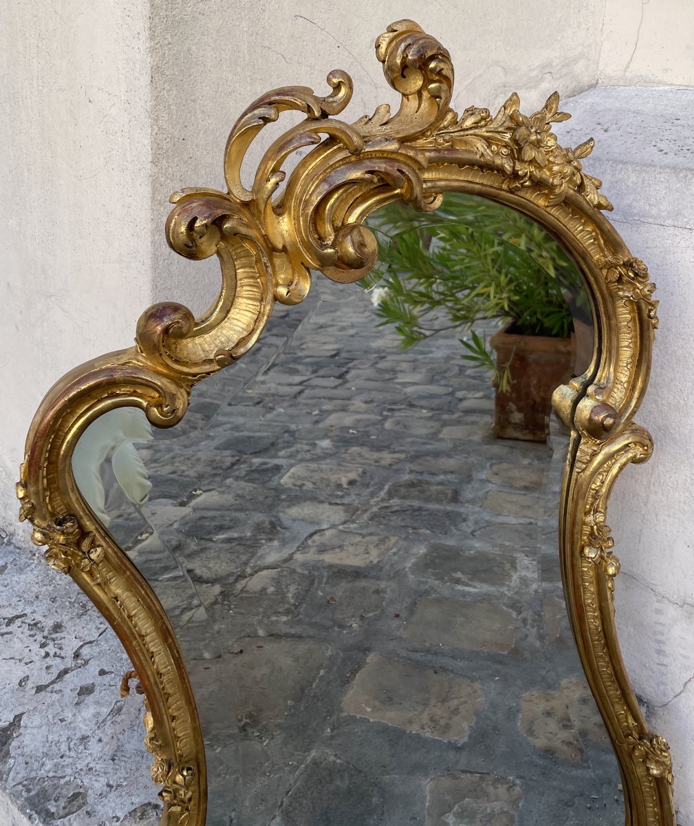 Rocaille Mirror, Carved And Gilded Wood-photo-2