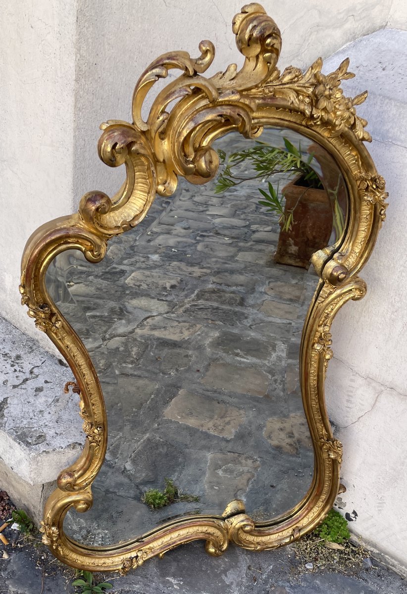 Rocaille Mirror, Carved And Gilded Wood-photo-4