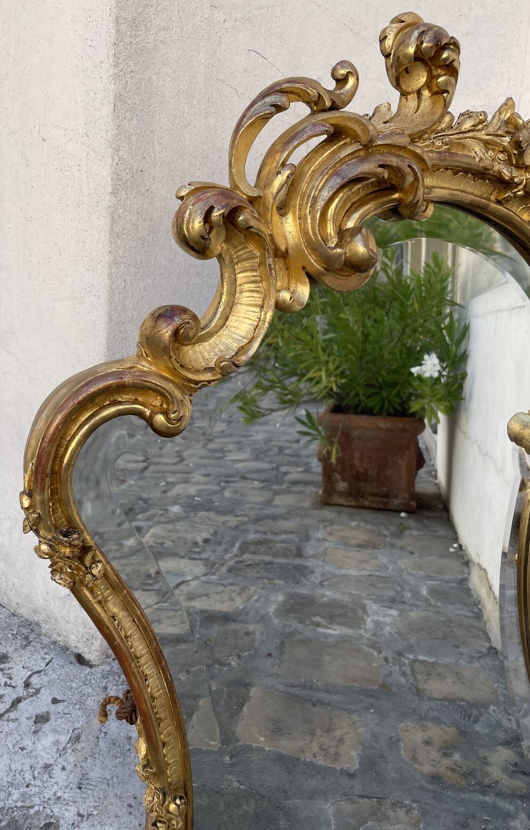 Rocaille Mirror, Carved And Gilded Wood-photo-1