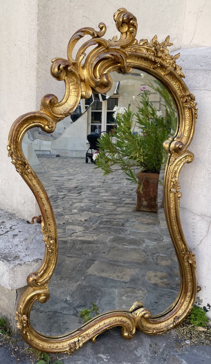 Rocaille Mirror, Carved And Gilded Wood
