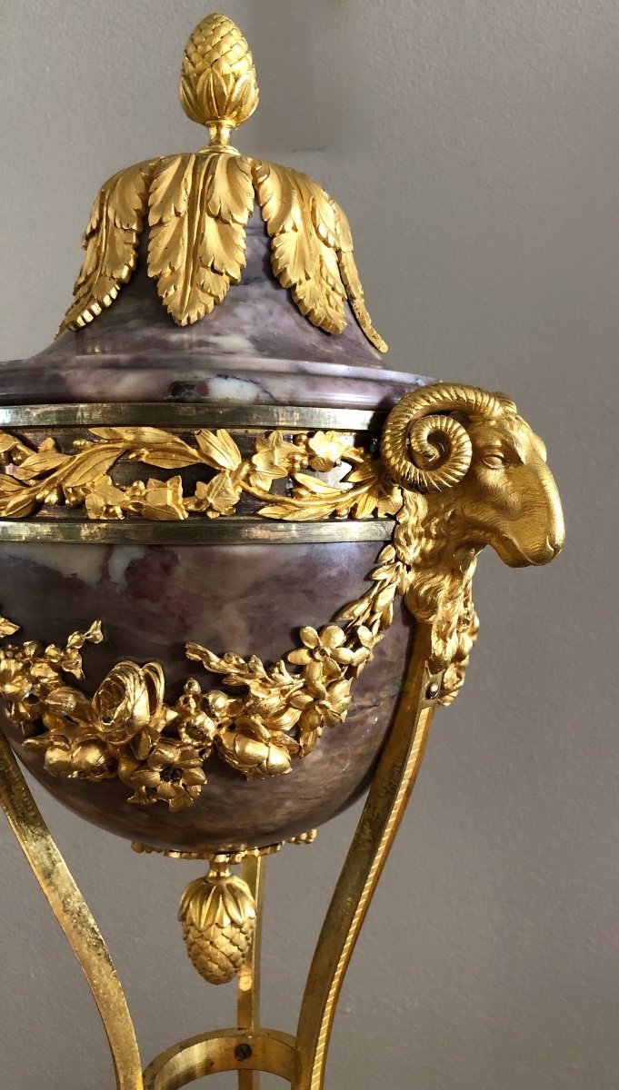 Pair Of Louis XVI Athenian Vases-photo-2
