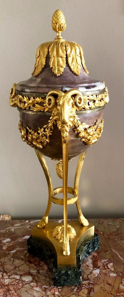 Pair Of Louis XVI Athenian Vases-photo-5