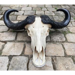 African Buffalo Massacre