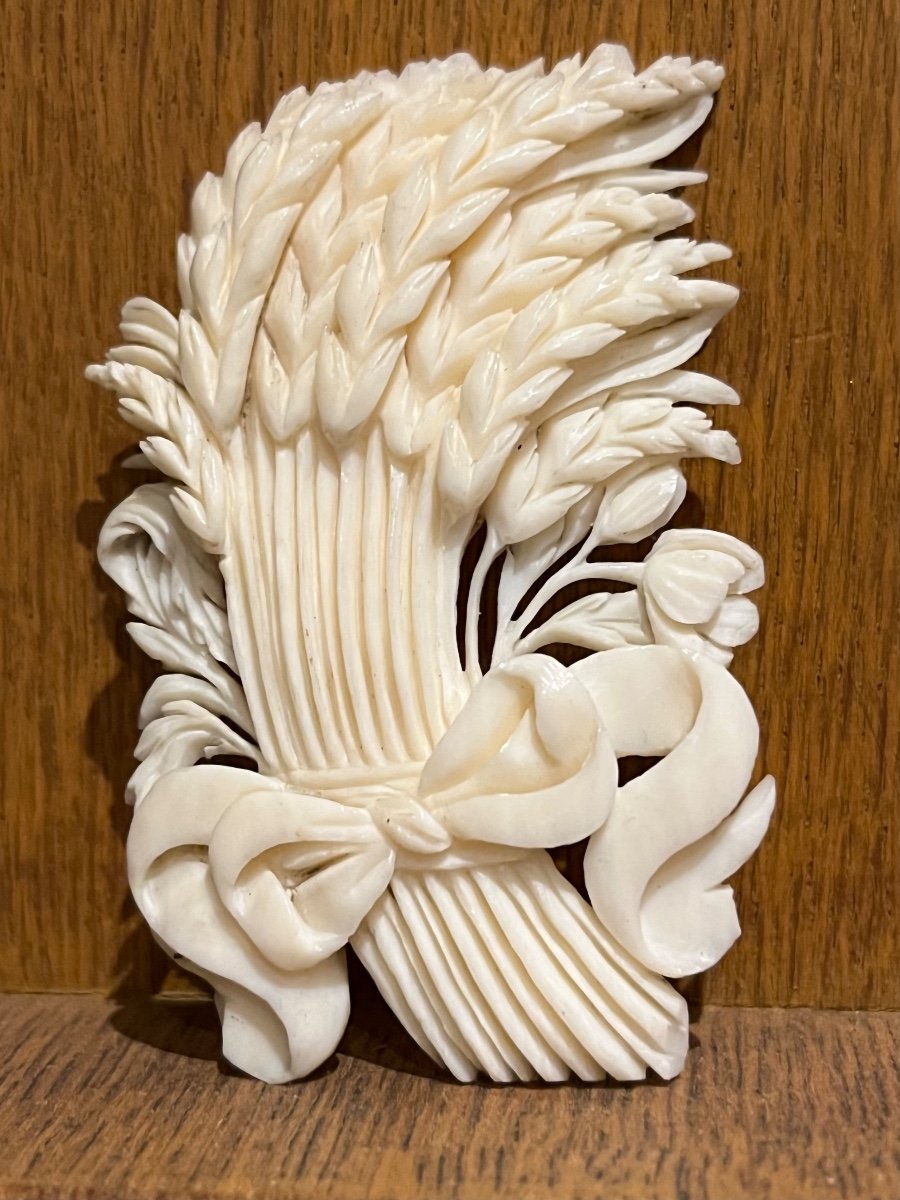 Dieppe Ivory Brooch - Ear Of Wheat 1900