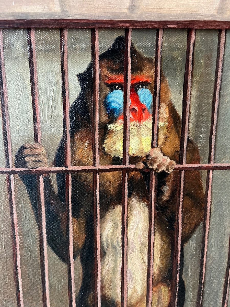 Georges Feldkirchner - Hst - The Mandrill In A Cage - Circus 1941-photo-1