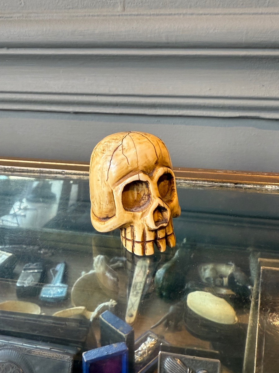Crâne - Mémento Mori en Ivoire - Netsuke Japon XIX -photo-1