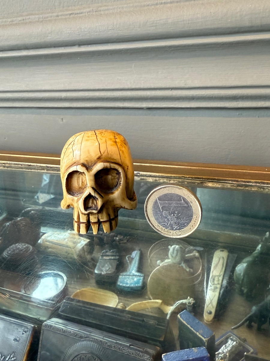 Crâne - Mémento Mori en Ivoire - Netsuke Japon XIX -photo-5