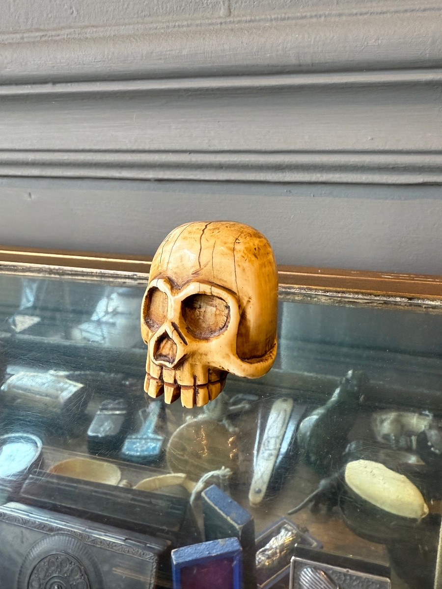 Crâne - Mémento Mori en Ivoire - Netsuke Japon XIX 
