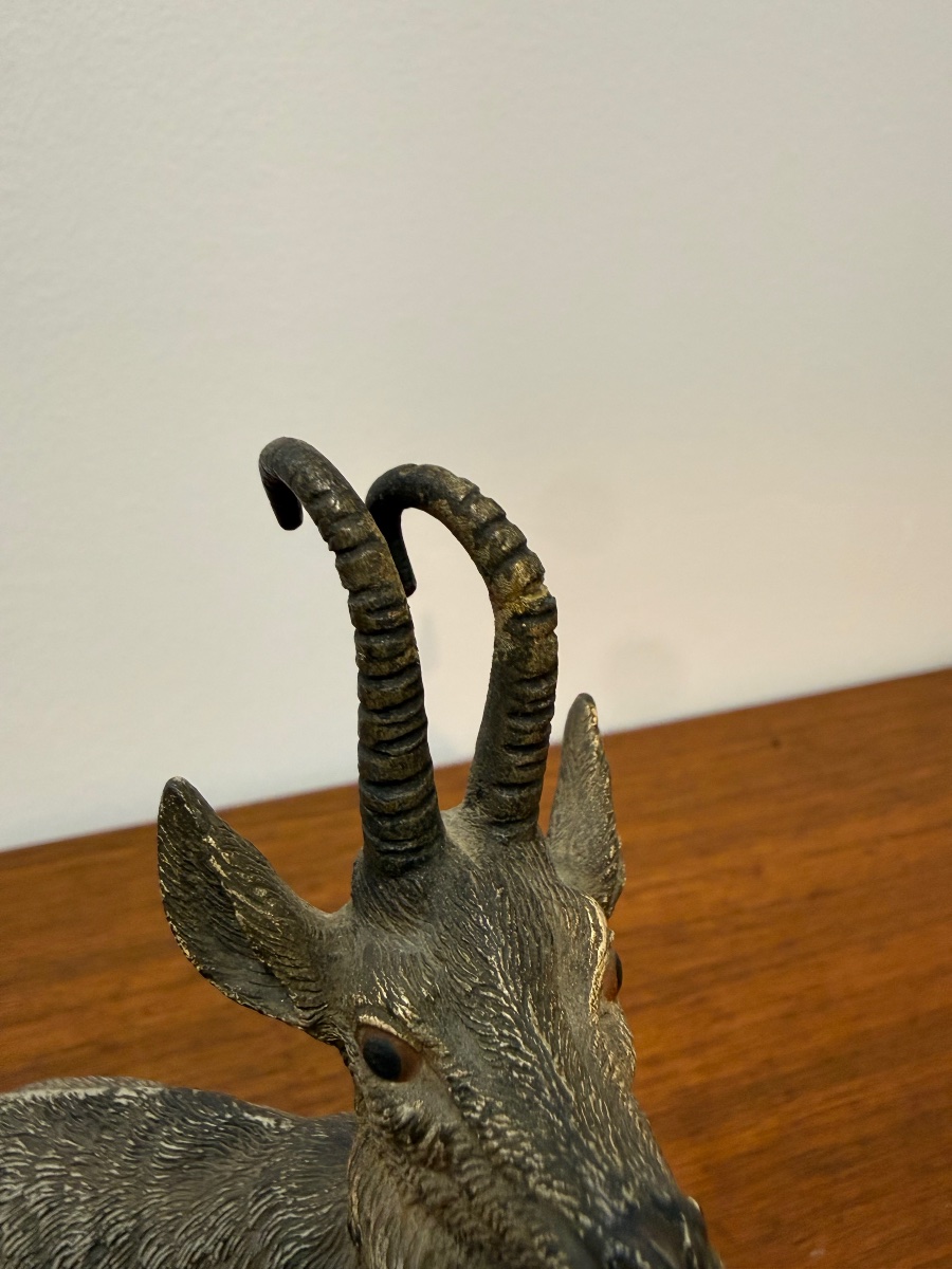 Vienna Bronze Geschutzt - Chamois XIXth Bergman-photo-3
