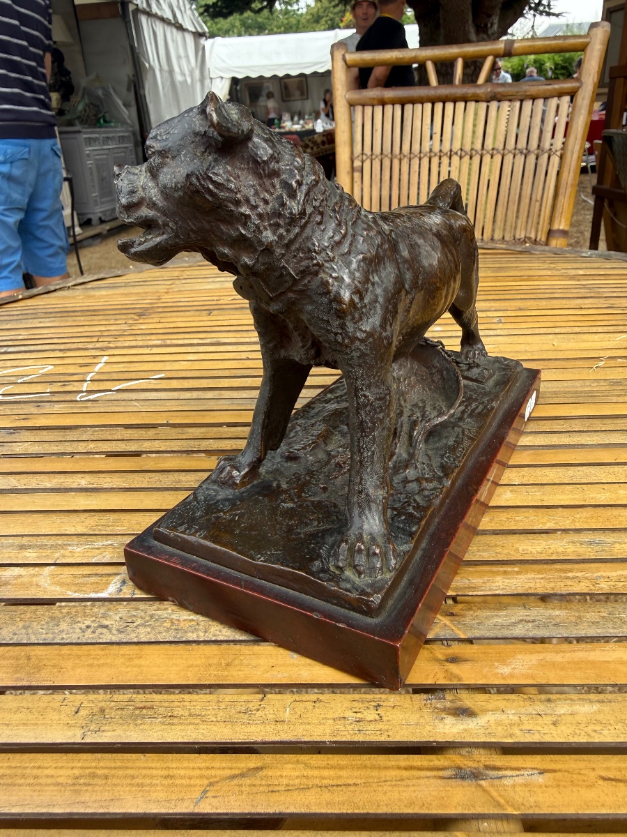 Christophe FRATIN - Bronze - Bouledogue Enchainé XIXeme - Fondeur Collin -photo-3