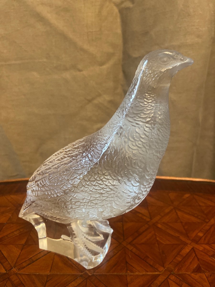 Partridge Lalique France