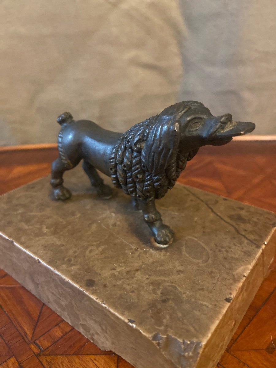 Chien Bronze 