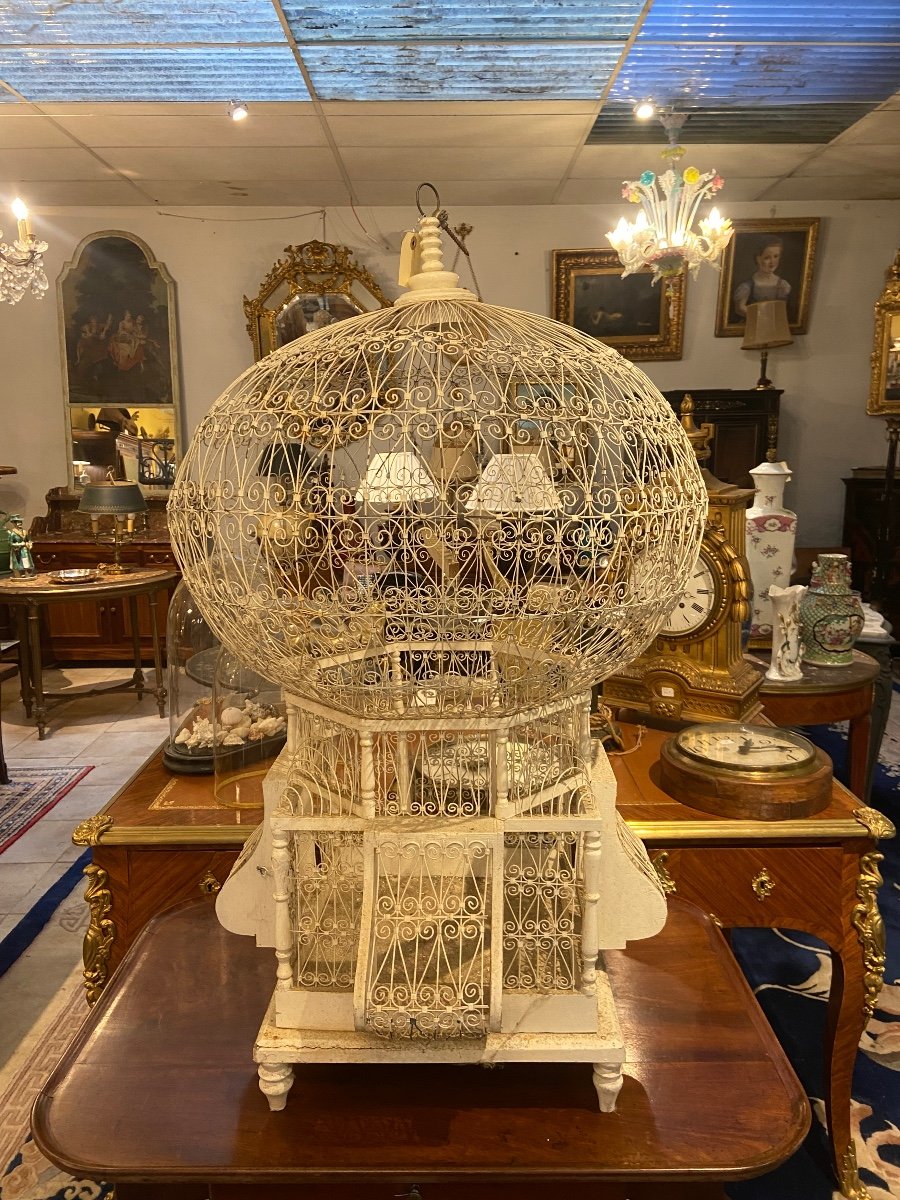 Bird Cage 