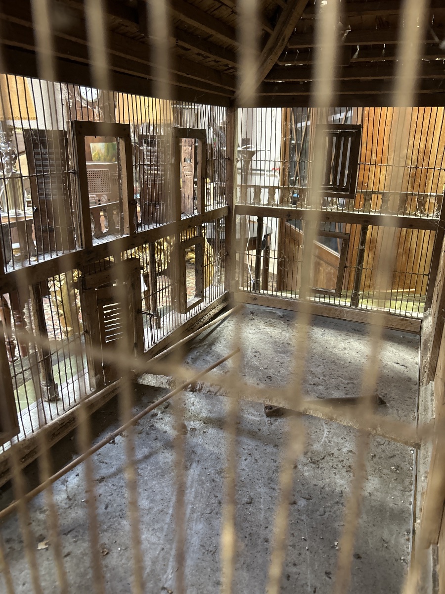 Cage oiseaux en bois -photo-5