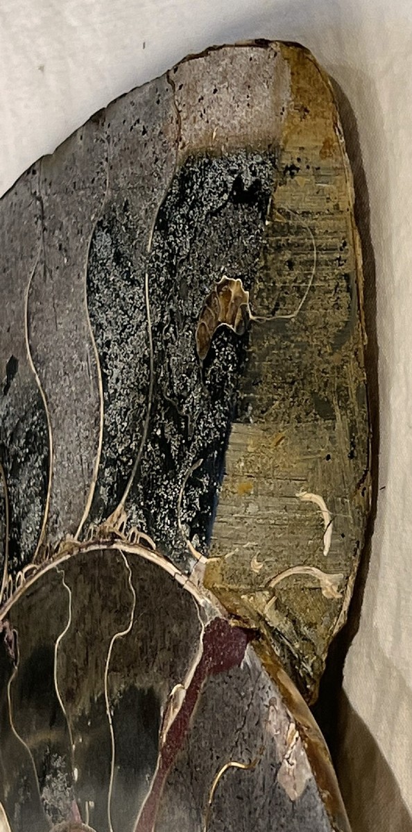 Paire d’ammonites fossilisées sectionnées – env. 35 cm-photo-4