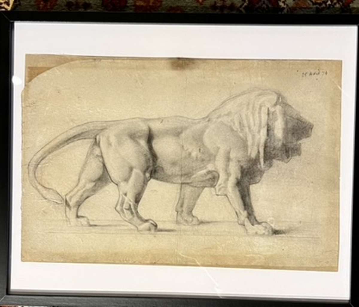 Dessin animalier ancien à la mine de plomb – Lion de profil, XIXᵉ siècle
