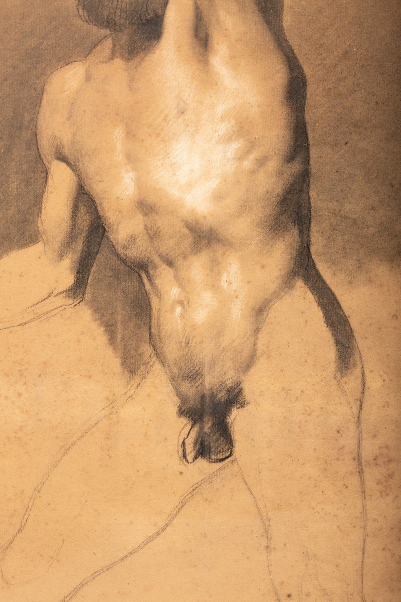 Nude Male Academy-photo-3