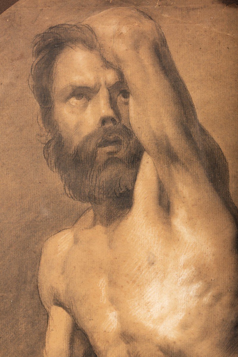Nude Male Academy-photo-3