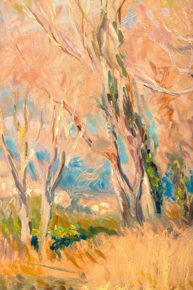 Début Du Printemps Près De Cagnes-sur-mer - Georges Moullade-photo-3