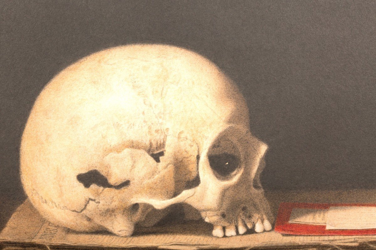 Vanitas By Catherine Jansens (born In 1949)-photo-2