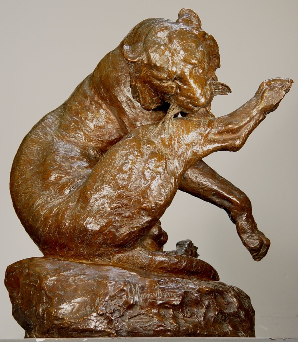  Tigre Du Bengale Se Léchant La Patte - Giacomo Merculiano-photo-3