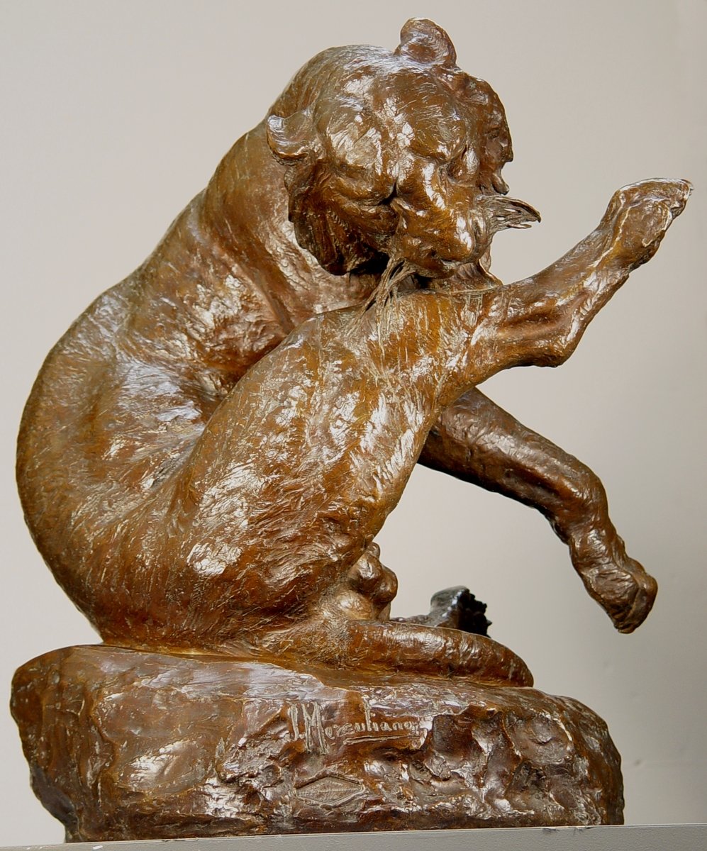  Tigre Du Bengale Se Léchant La Patte - Giacomo Merculiano-photo-4